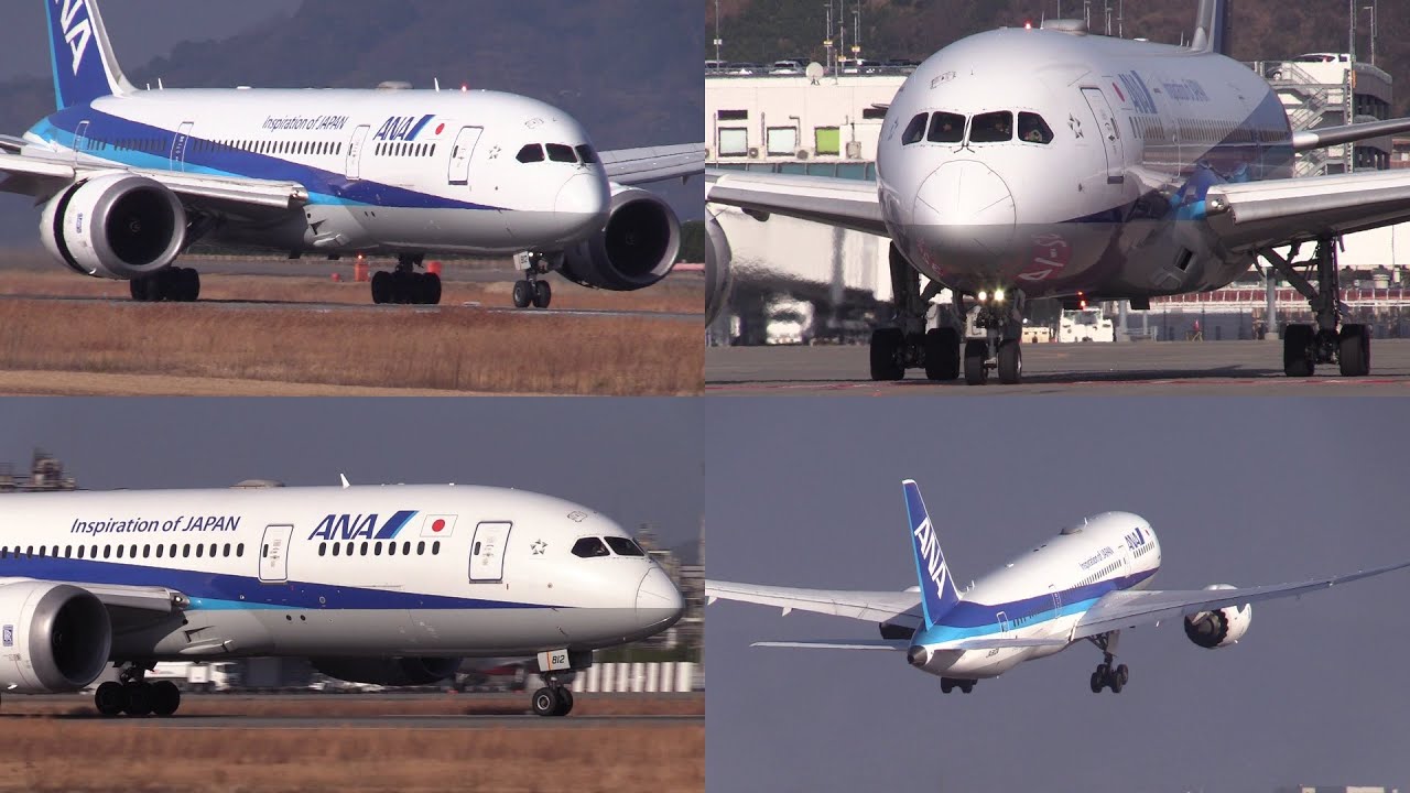26/01/17 松山空港 全日本空輸 ANA Boeing 787-8 (JA812A) Arrival & Departure at Matsuyama Airport, RJOM