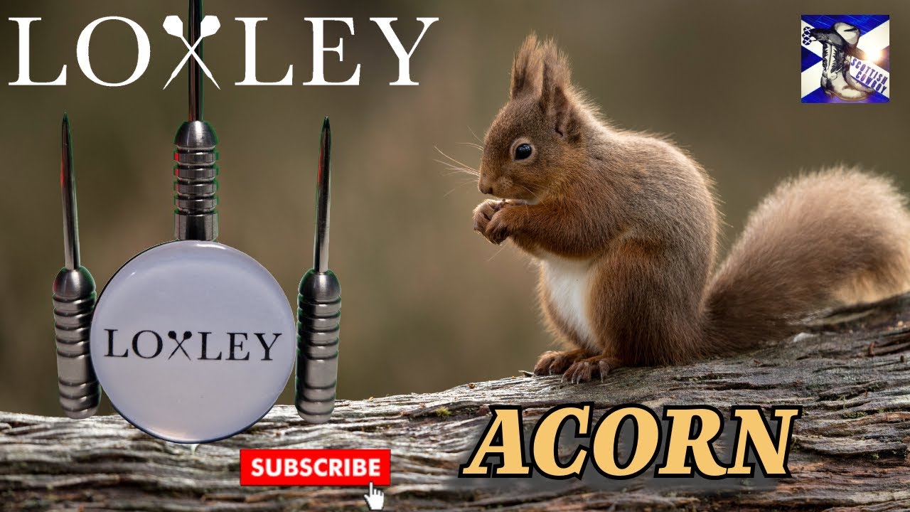 Loxley Acorn 14g Darts  Review