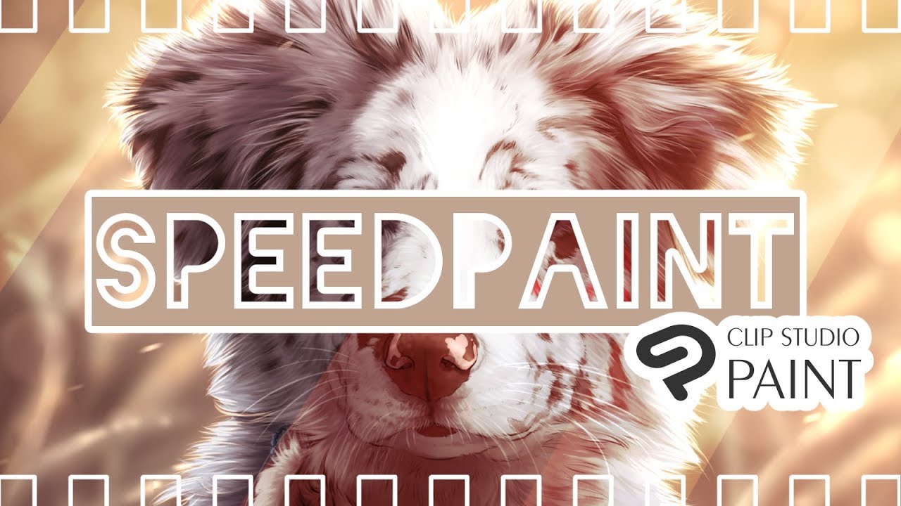Sioux Speedpaint | Dog Speedpaint - Clip Studio Paint