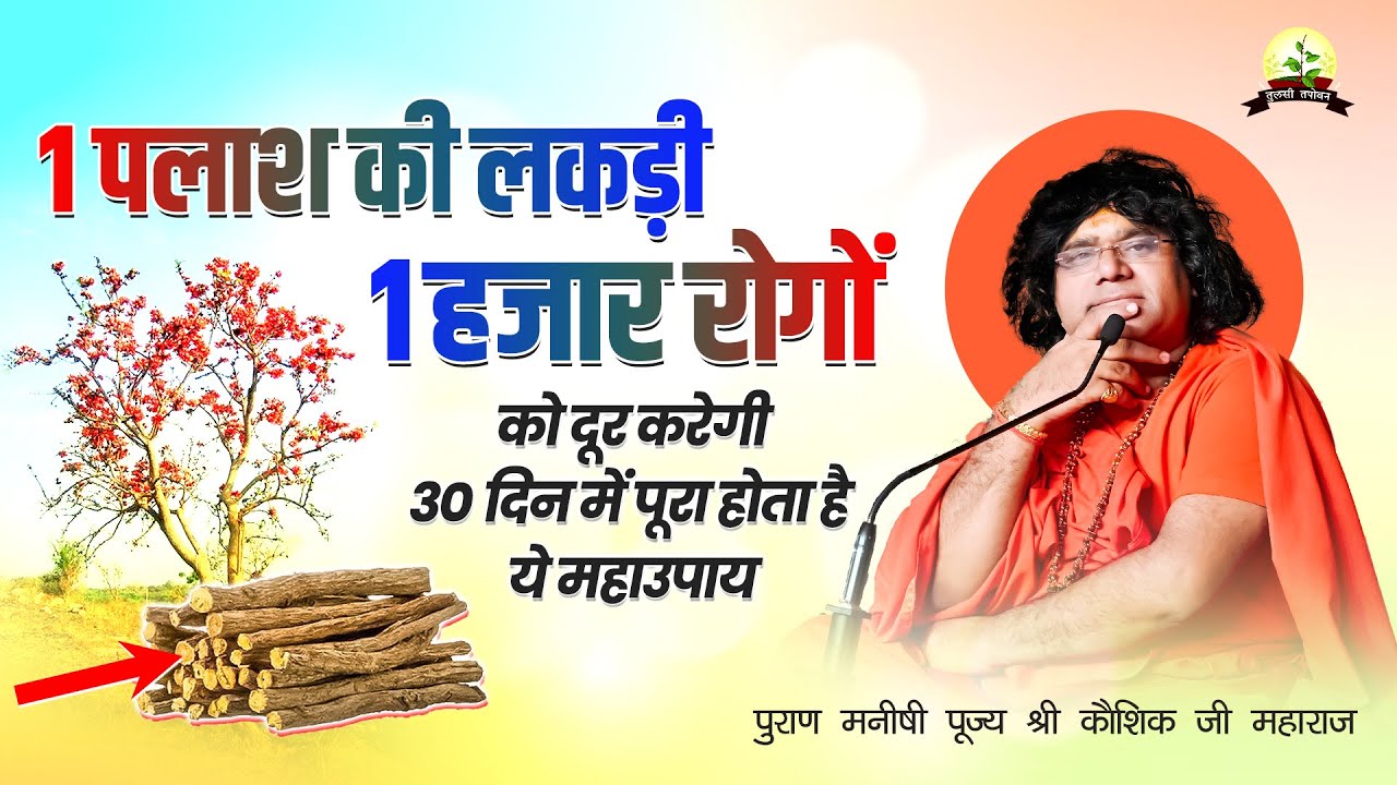 1 पलाश की लकड़ी 1 हजार रोगों को दूर करेगी, 30 दिन में पूरा होता है ये महाउपाय 19.5.2023
