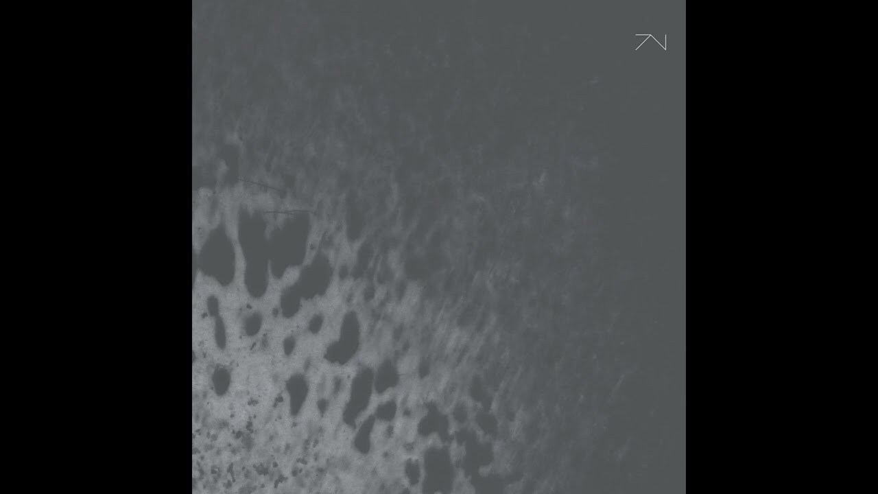 Zond - IO (Official Audio)
