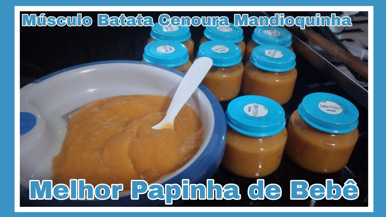 PAPINHA CARNE COM LEGUMES PARA BEBÊ 6 MESES