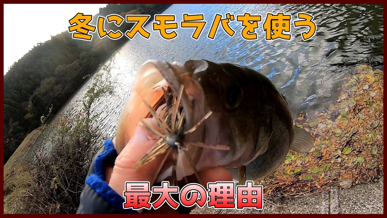 【スモラバ】食えば掛かる【初冬】