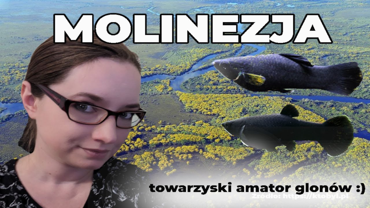 Sł&oacute;w kilka o... MOLINEZJI