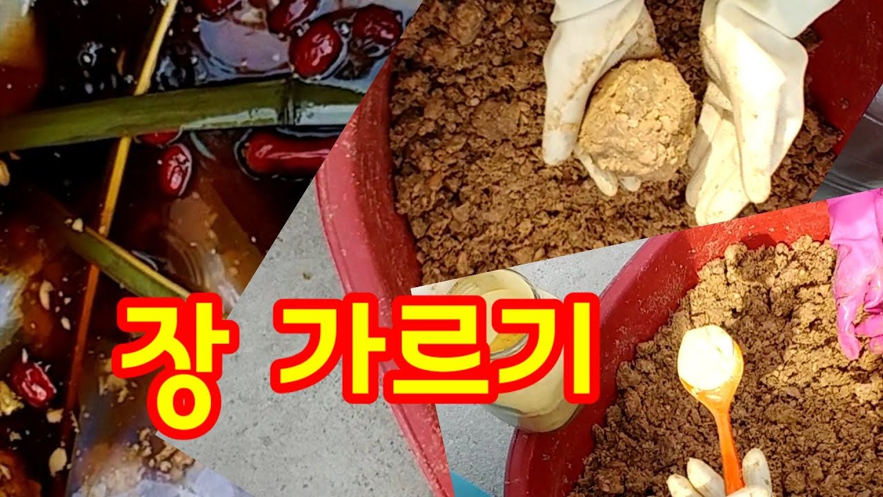 #장가르기 - 장 담고 60일, 된장과 간장 분리저장 비법 공개합니다. #장가르기 #된장만들기