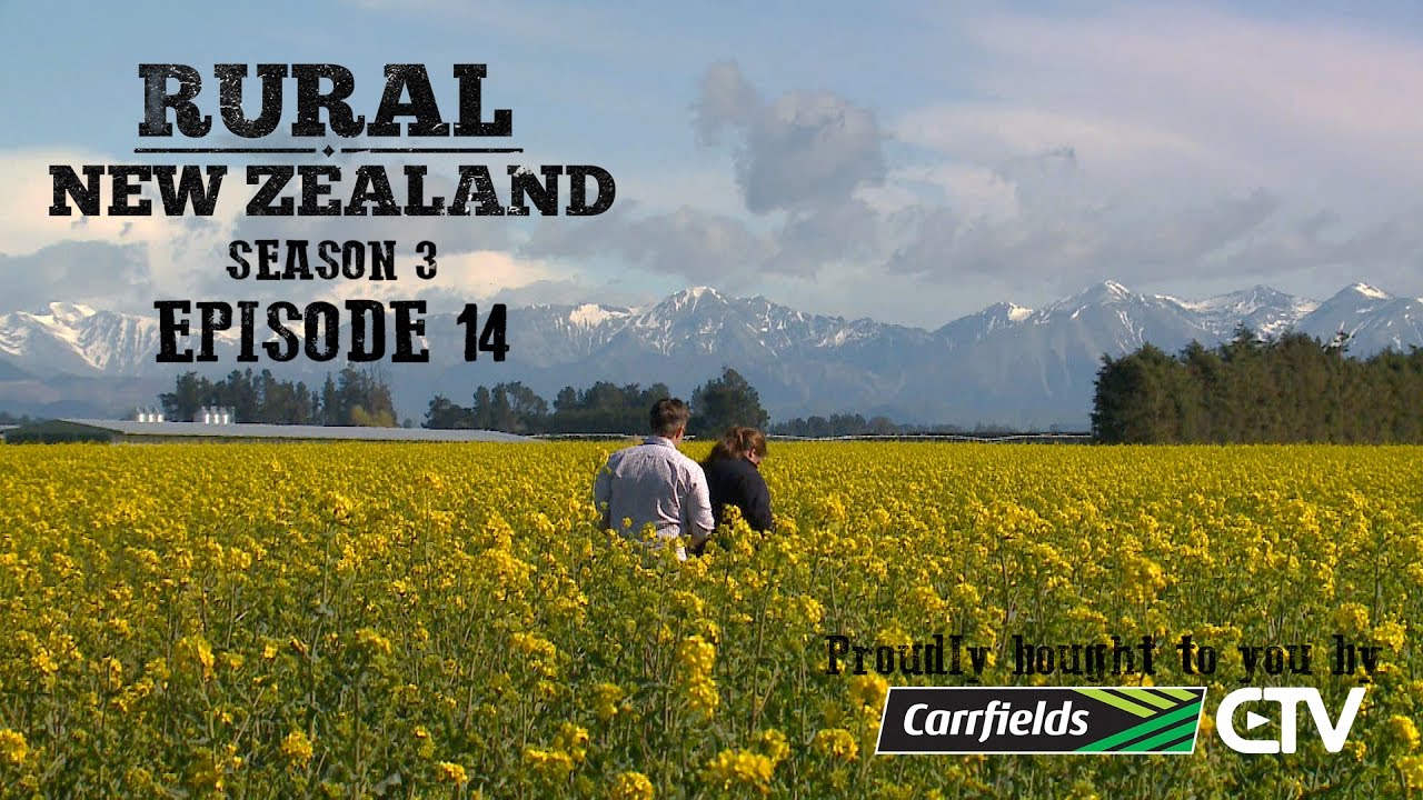 Rural New Zealand - S03 E14