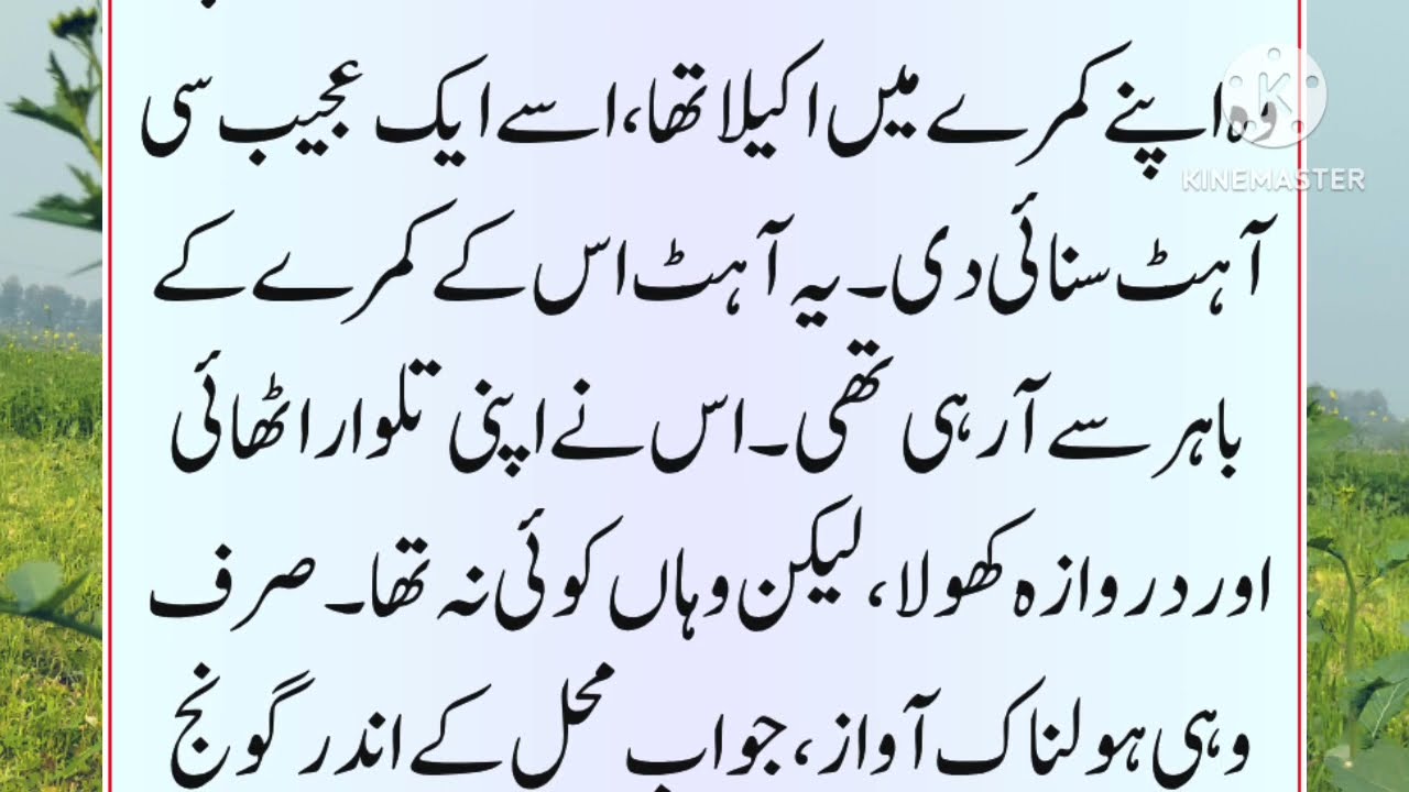 25 January 2026