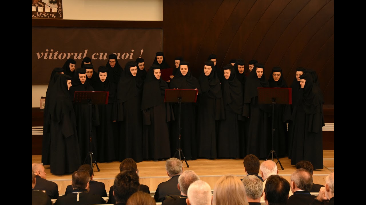 Paraclisul Sfantului Apostol si Evanghelist Luca, Manastirea Nera