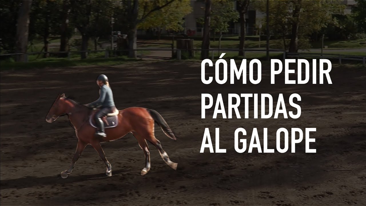 Cómo pedir partidas al galope