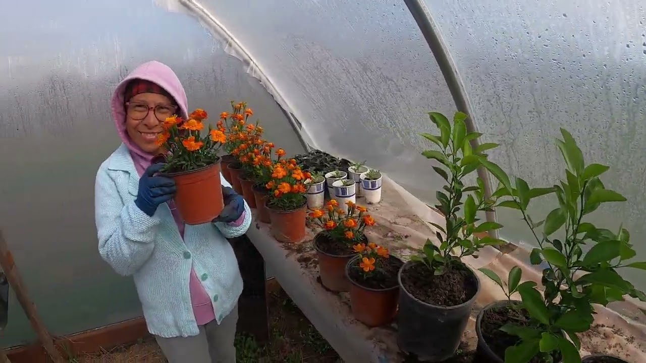 Green house tour