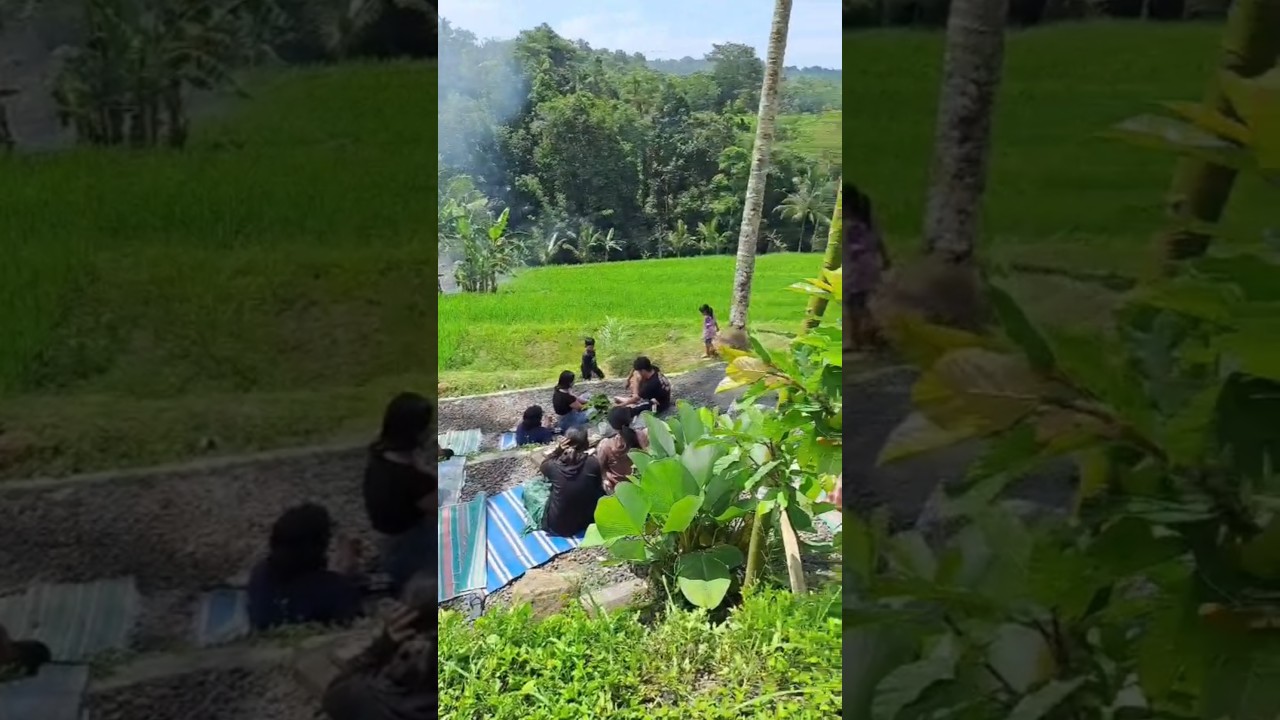 WARUNG KOPI TENGAH SAWAH || JATILUWIH TABANAN BALI #ngopi #tabanan #bali #kuliner