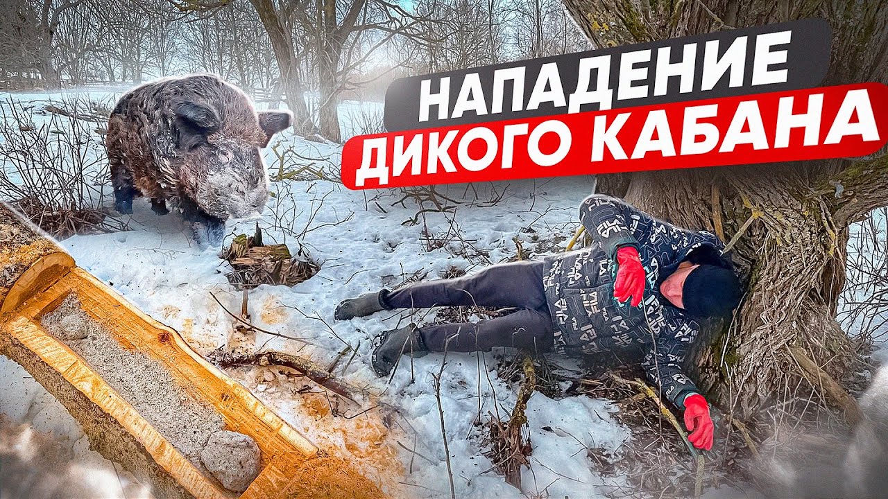 НА МЕНЯ НАПАЛ КАБАН! ЖИЗНЬ В ЗАБРОШЕННОЙ ДЕРЕВНЕ!