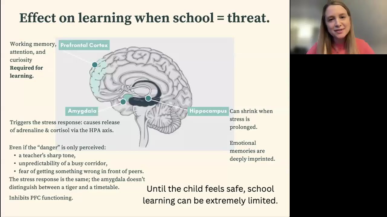 Dr Rebecca Torrance Jenkins, Learnus