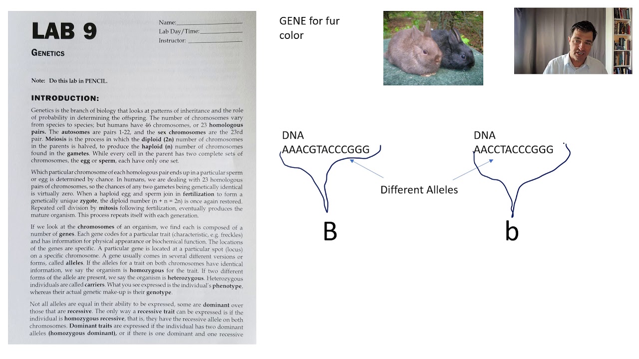 genetics lab