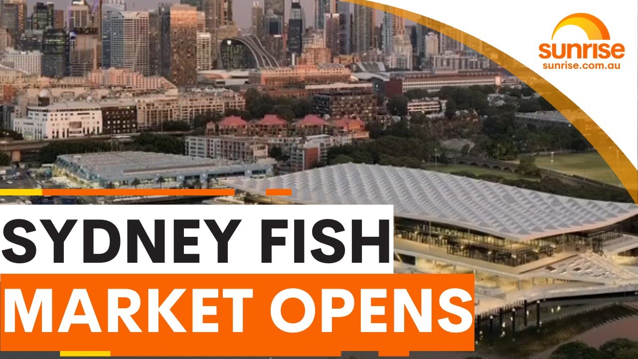 Sydney's newest fish market has just opened it's doors | Sunrise