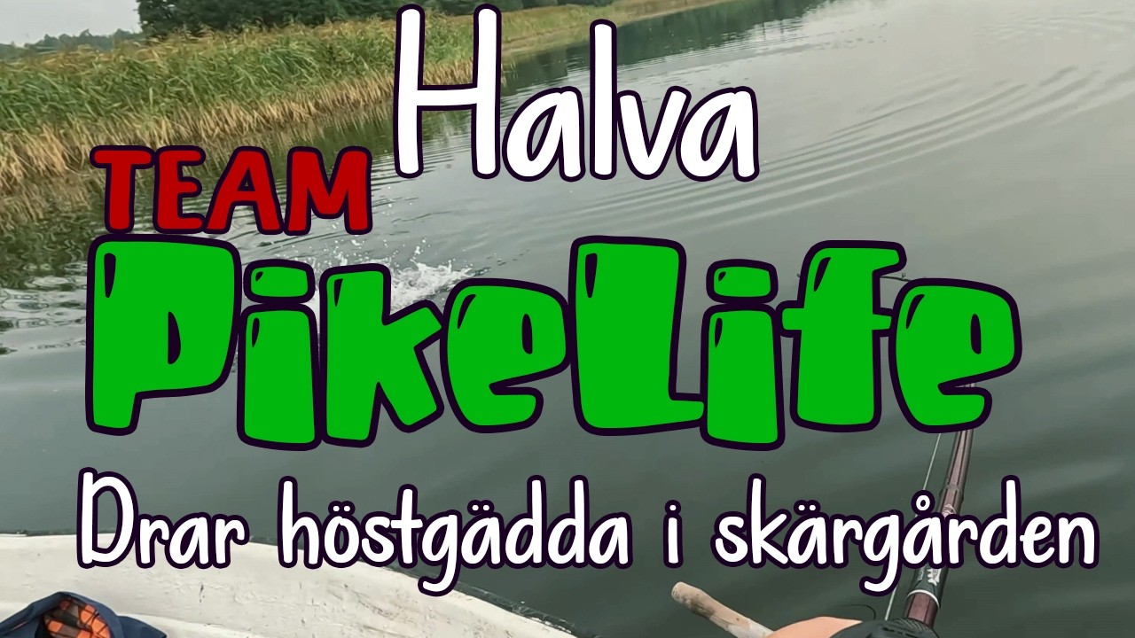 Halva Team Pikelife jagar höstgädda i skärgården