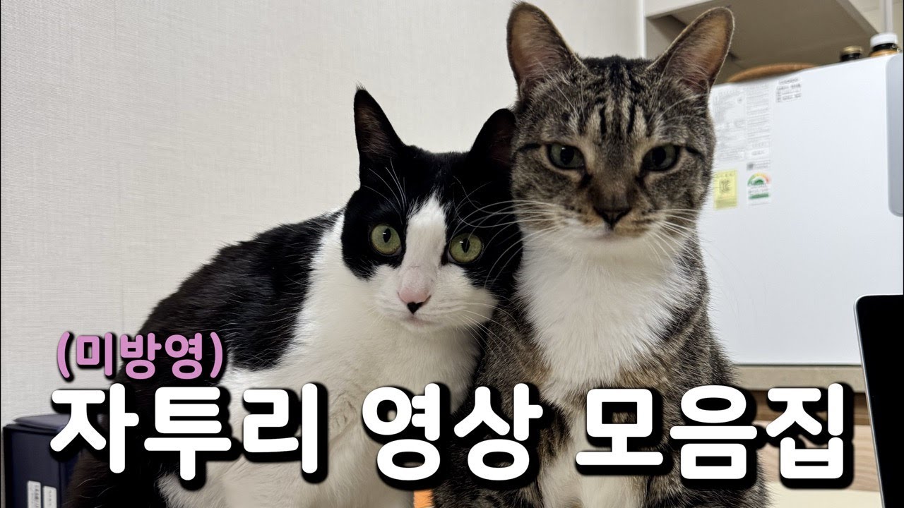 춘봉첨지 미공개 영상 모음