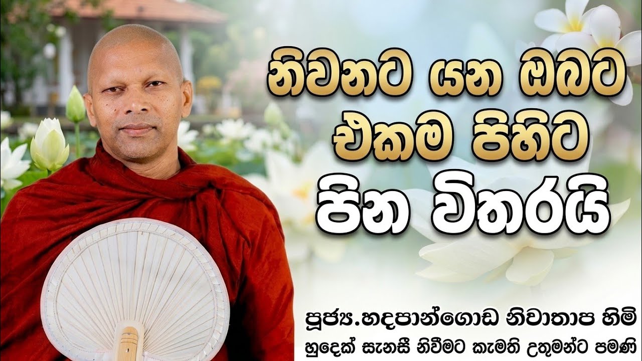 නිවනට යන ඔබට එකම පිහිට පින විතරයි #ven.Hadapangoda Niwathapa thero#jethavanarama viharaya #pahura