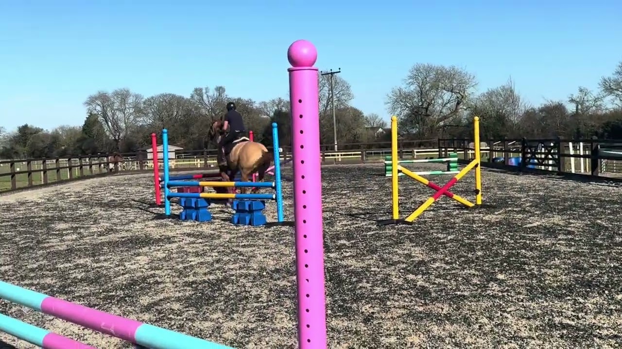 Foxy showjumping 