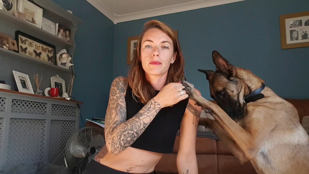 Working with reactive dogs: hand touch training with Elsa my Belgian Malinois