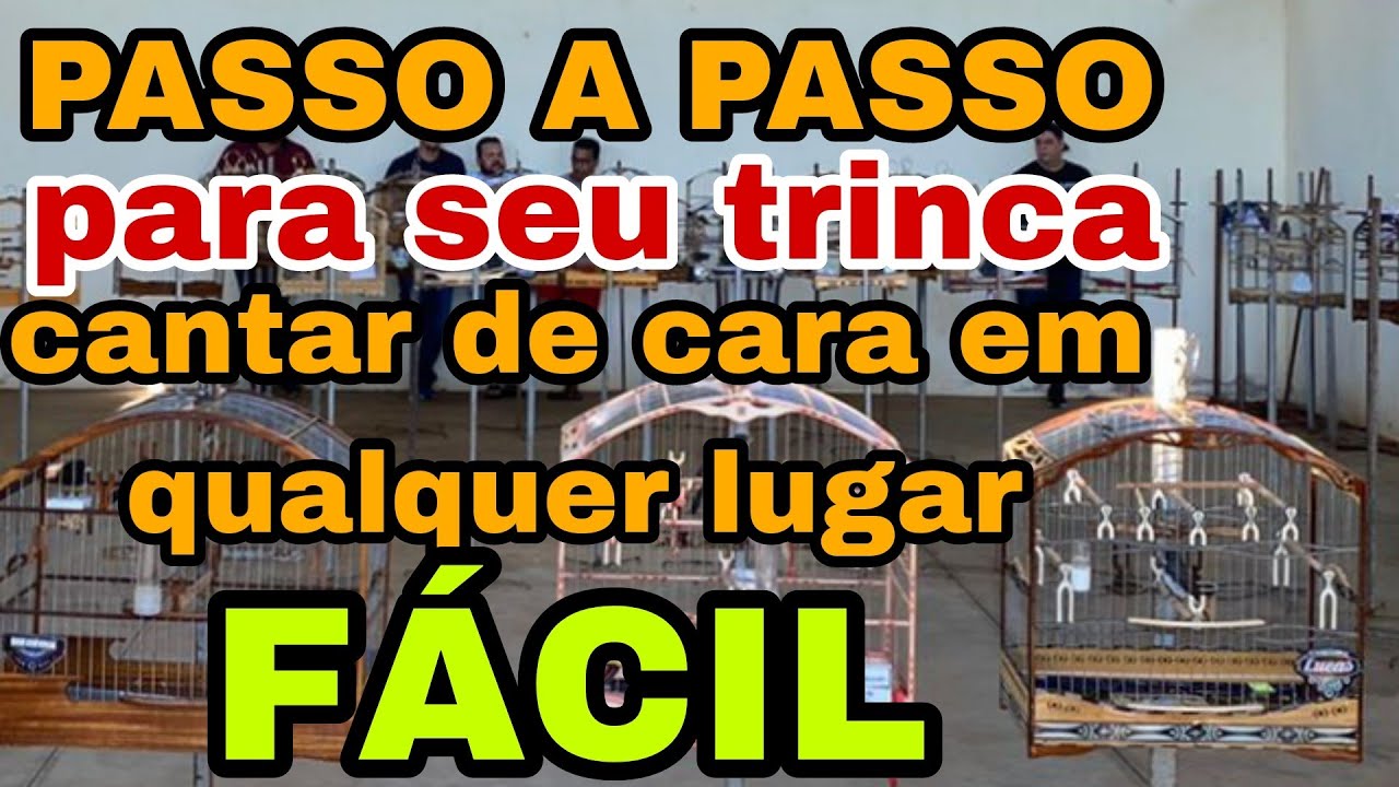trinca ferro passo a passo para cantar de cara,torneio,badernas,e em qualquer lugar.vd.01
