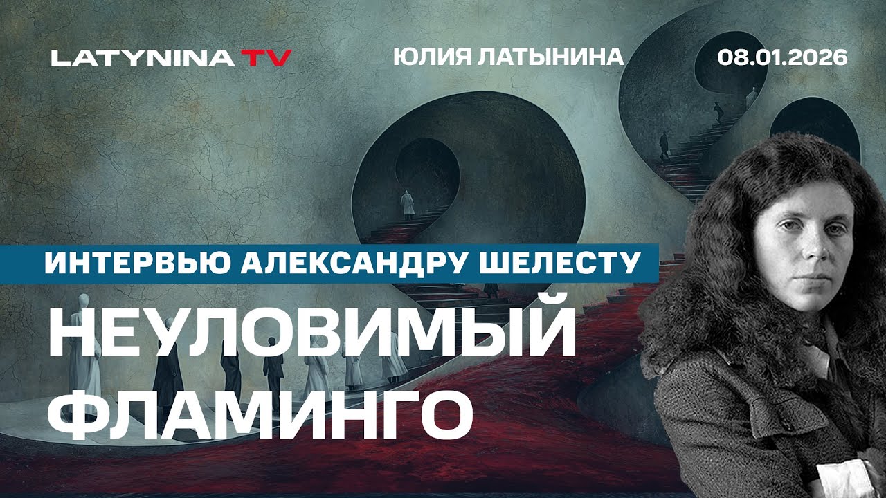 А был ли Фламинго? Зеленский - стратегия жертвы. Старлинк. Эпштнейн. Интервью Александру Шелесту