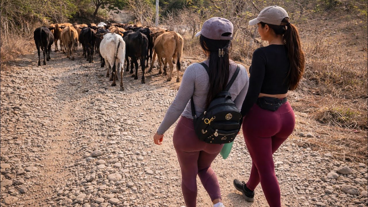 🛑😱 Hoy nos tocó mover las vacas para otro potrero /CHICAS SALVADOREÑAS 