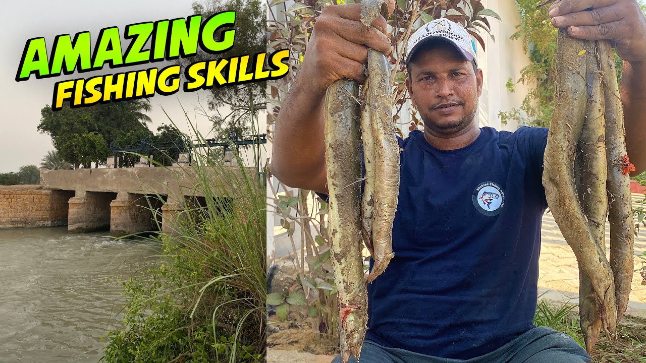 Fish hunting | Amazing Catching Big Baam fishes | Best Technique