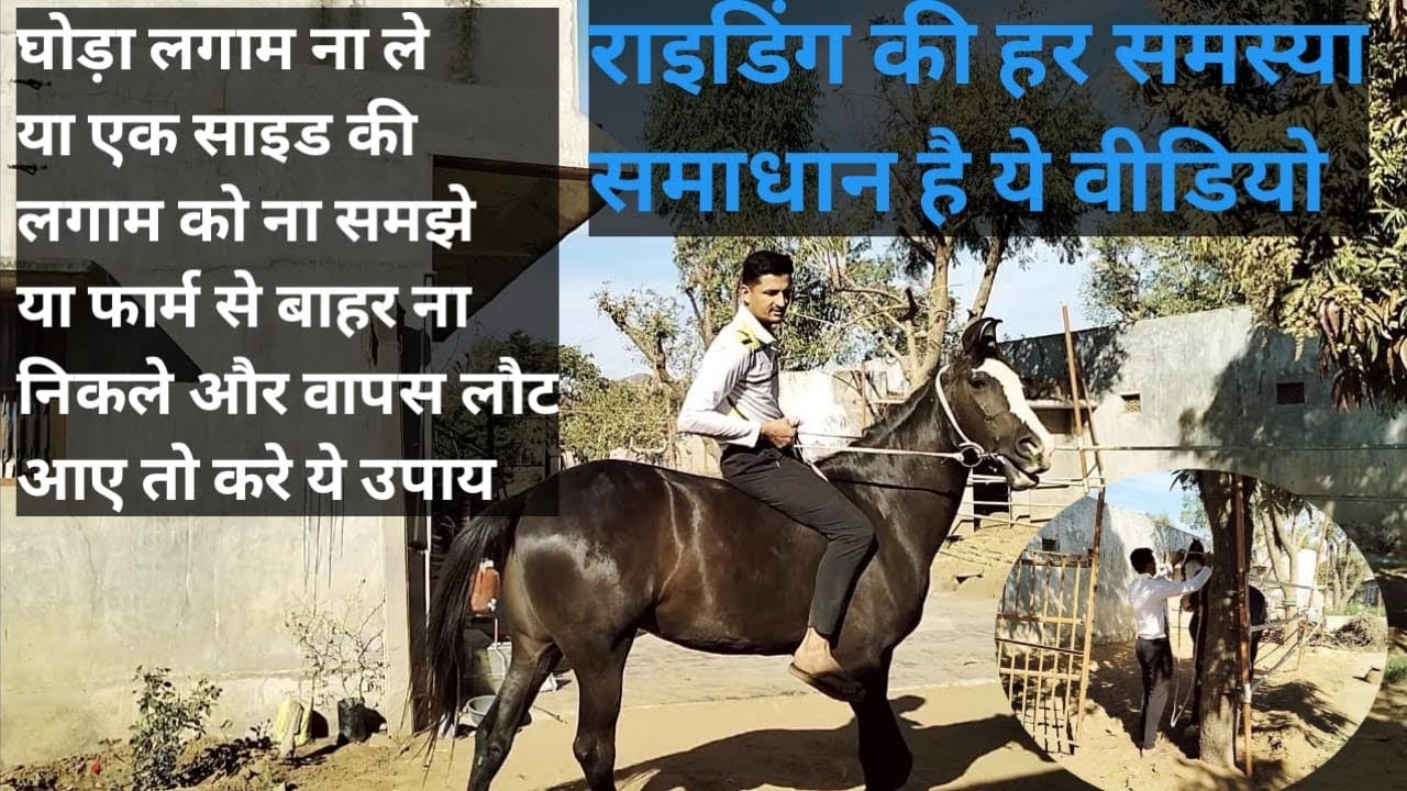 राइडिंग की हर समस्या का समाधान है ये वीडियो