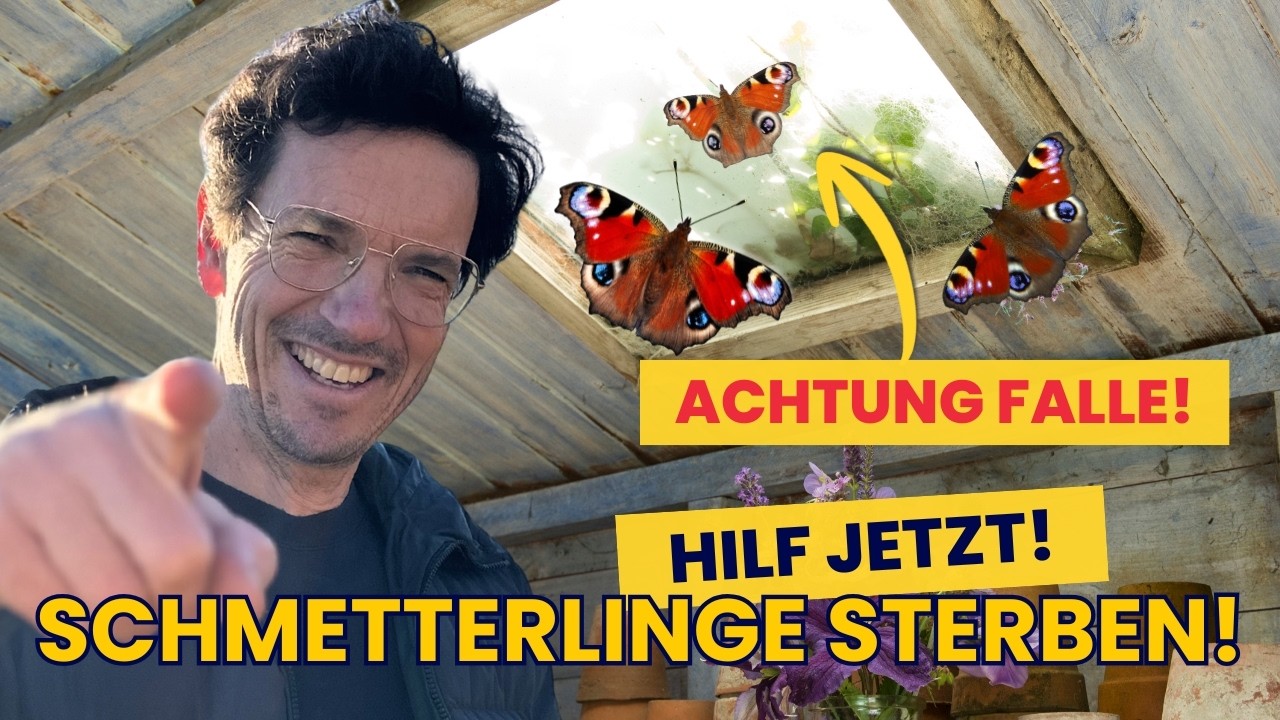 Jetzt erste Schritte machen!