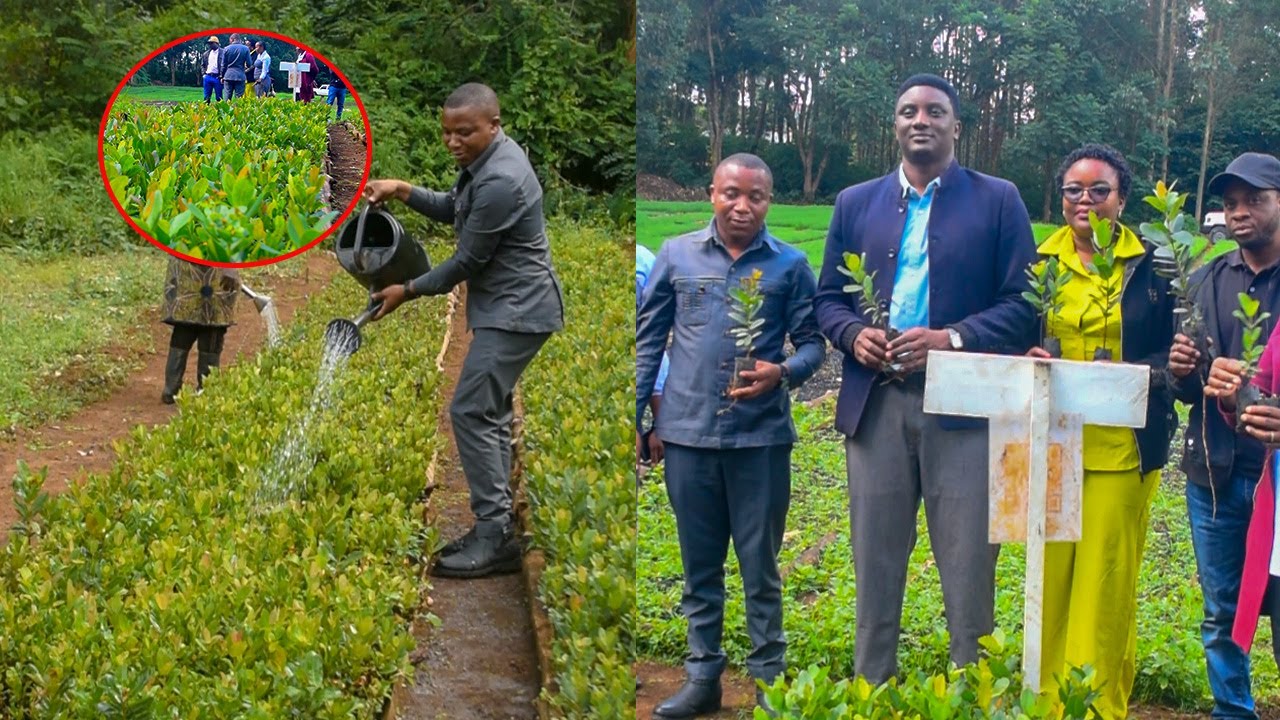 NJUWASA WAWEKA WAZI MPANGO WA KUTUNZA VYANZO VYA MAJI NJOMBE 
