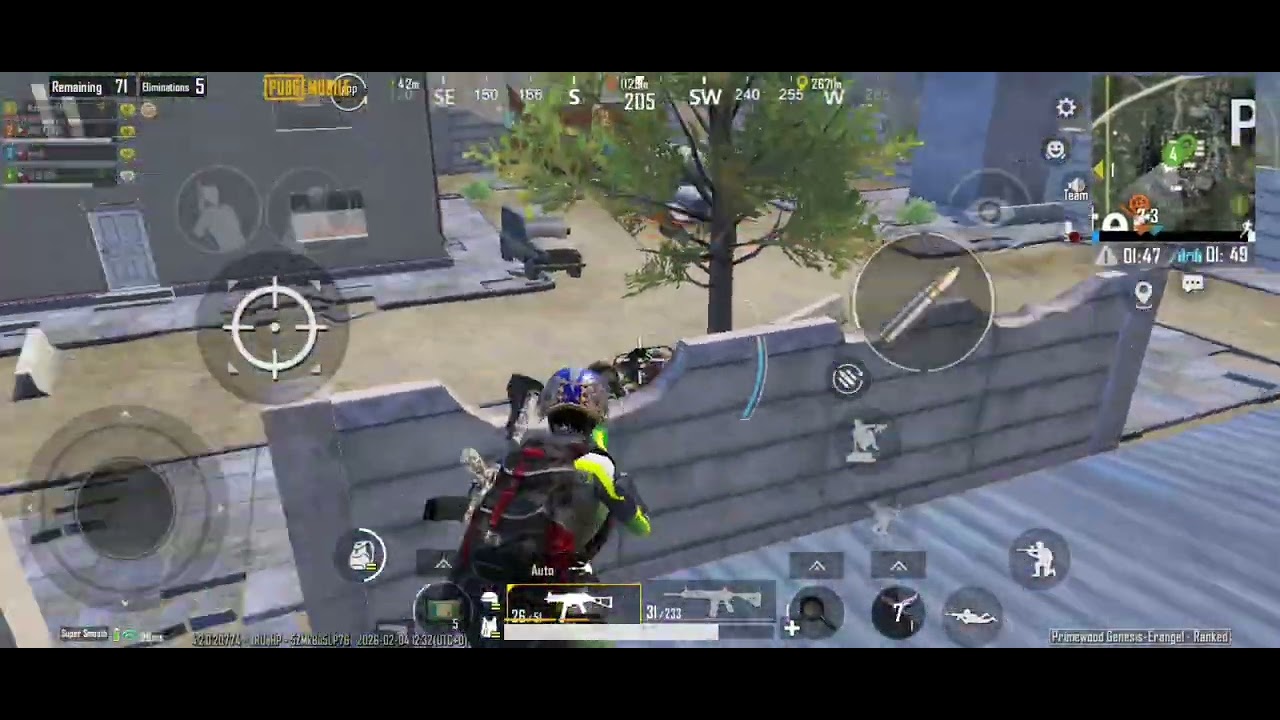 PUBG Chicken Dinner