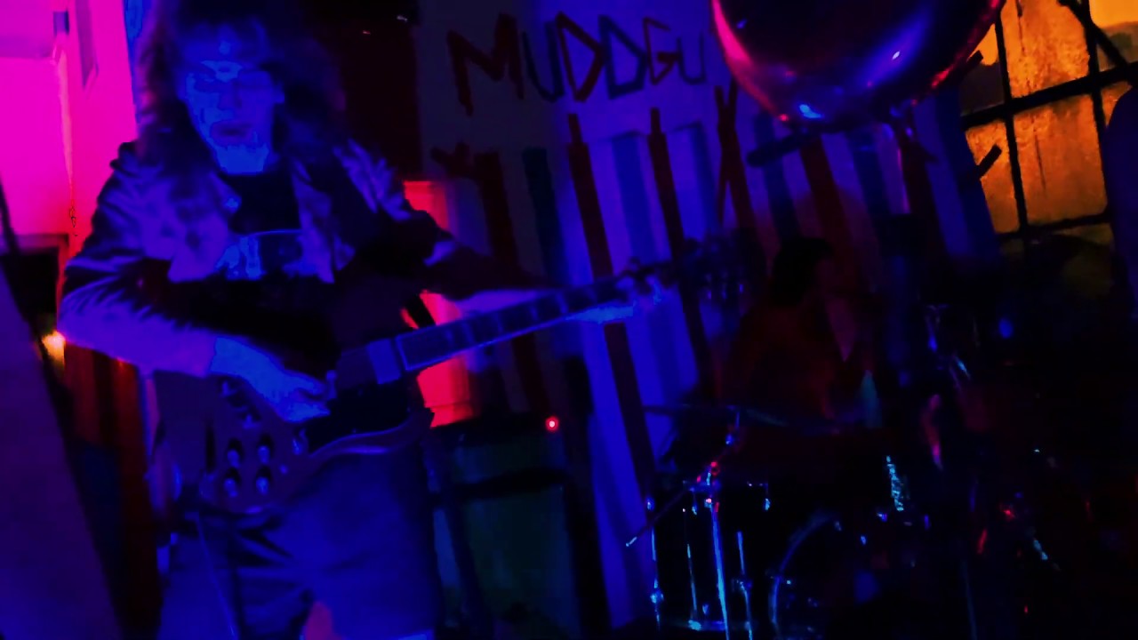 muddguts presents: KAMIKAZE PALM TREE