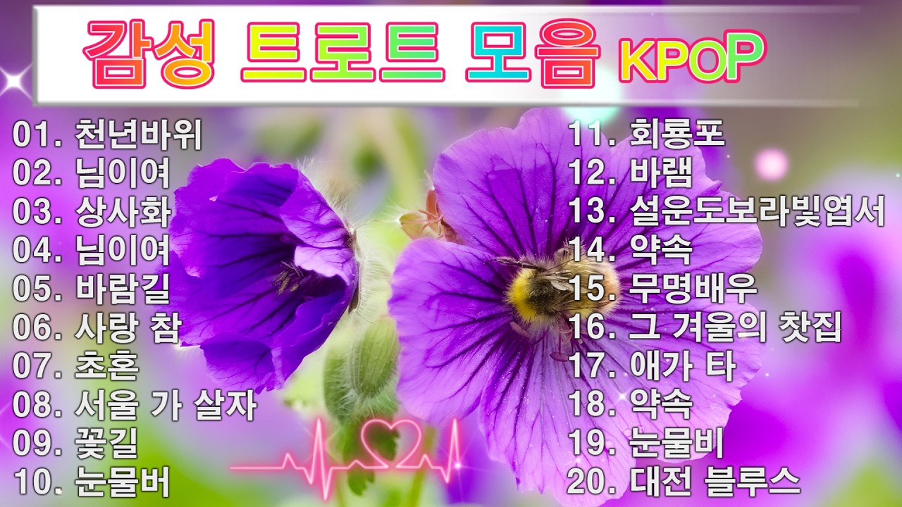 감성 트로트 모음 KPOP (TROT) PLAYLIST 💸 ( 꽃길.상사화.여인의 눈물.회룡포.바람길...) #Kpop