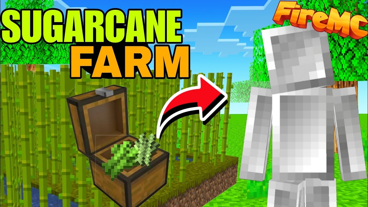 FireMC Lifesteal 😱 | Easy Sugar Cane Farm Tutorial 🔥