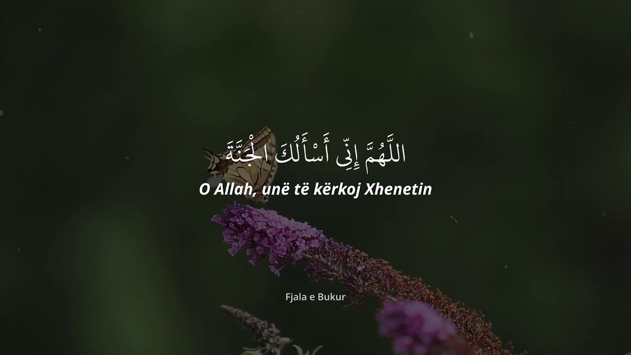 Lutja që Duhet Ta Dëgjosh në Ramazan 2026 | Dua e Fuqishme 🌙🤲