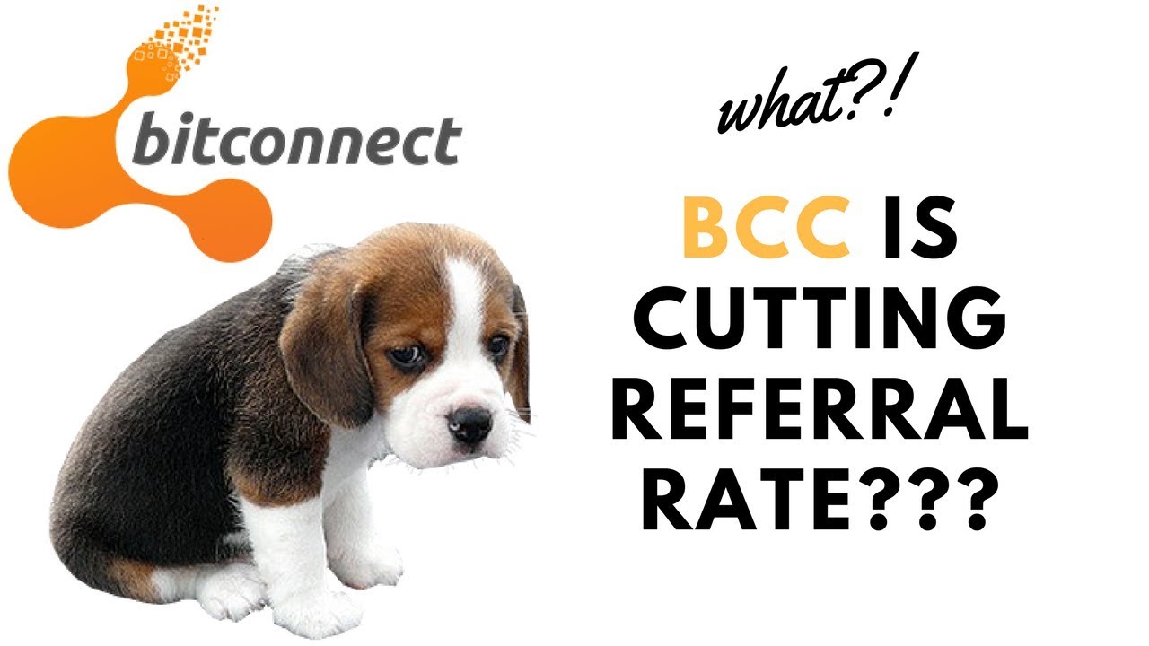 BIG UPDATE ON BITCONNECT REFERRAL PROGRAM! REGISTER NOW AND GET EXTRA 5% BONUS