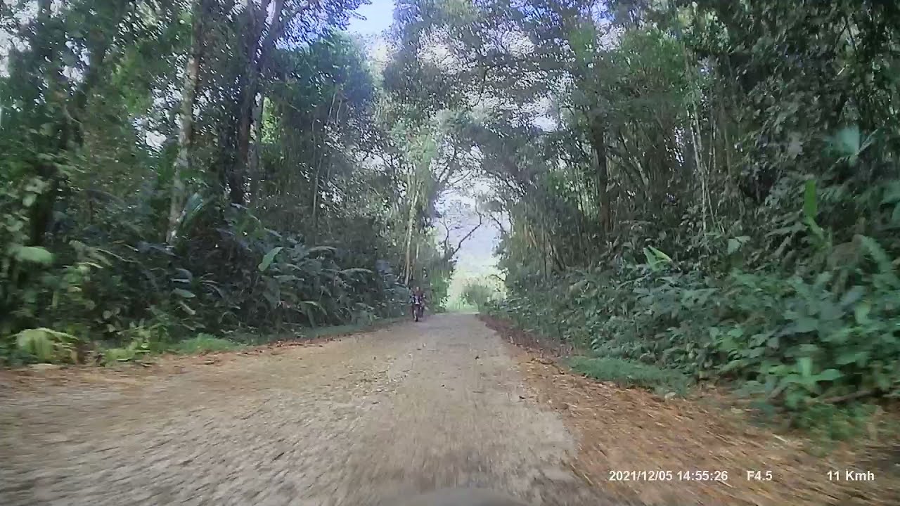Un paseo a Playa Cacao, Golfito, Costa Rica