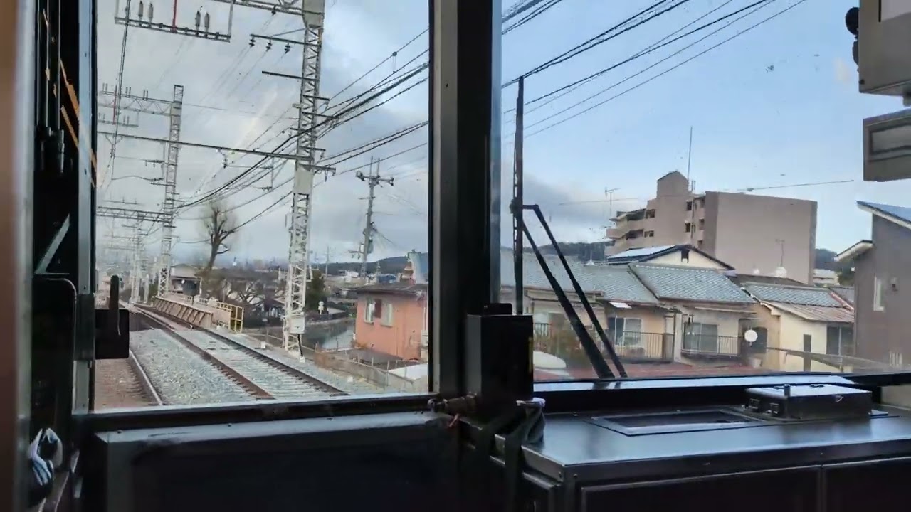 淀の河津桜見物の帰りです！