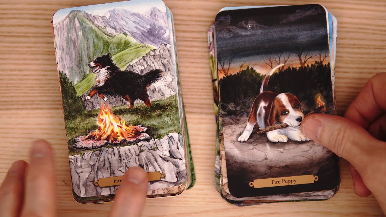 Magical Dogs Tarot - 4k Flip Through