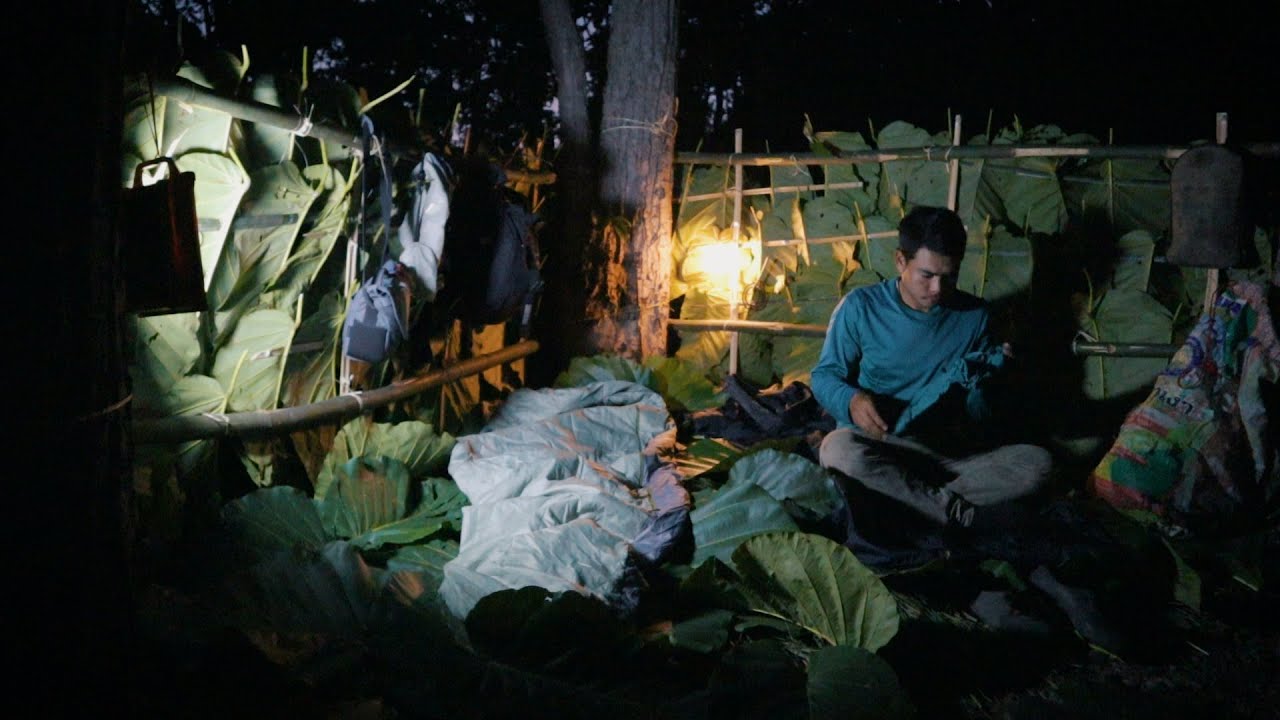 2 วัน 2 คืน นอนป่าเต็งรัง สร้างที่พัก ฤดูหนาว เสียงหมาป่าร้องลั่น! อันตราย