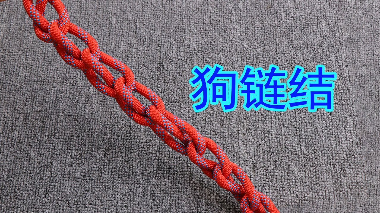 狗链结，这是货运司机不外传的绳结技能，农村用来整理绳子很实用