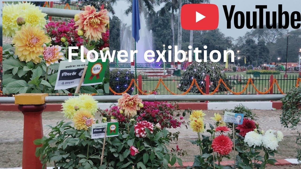 Prayagaraj me flowers ki duniya 😯🌹💐🌷#somoverse #somovlog #vlogs #flowers