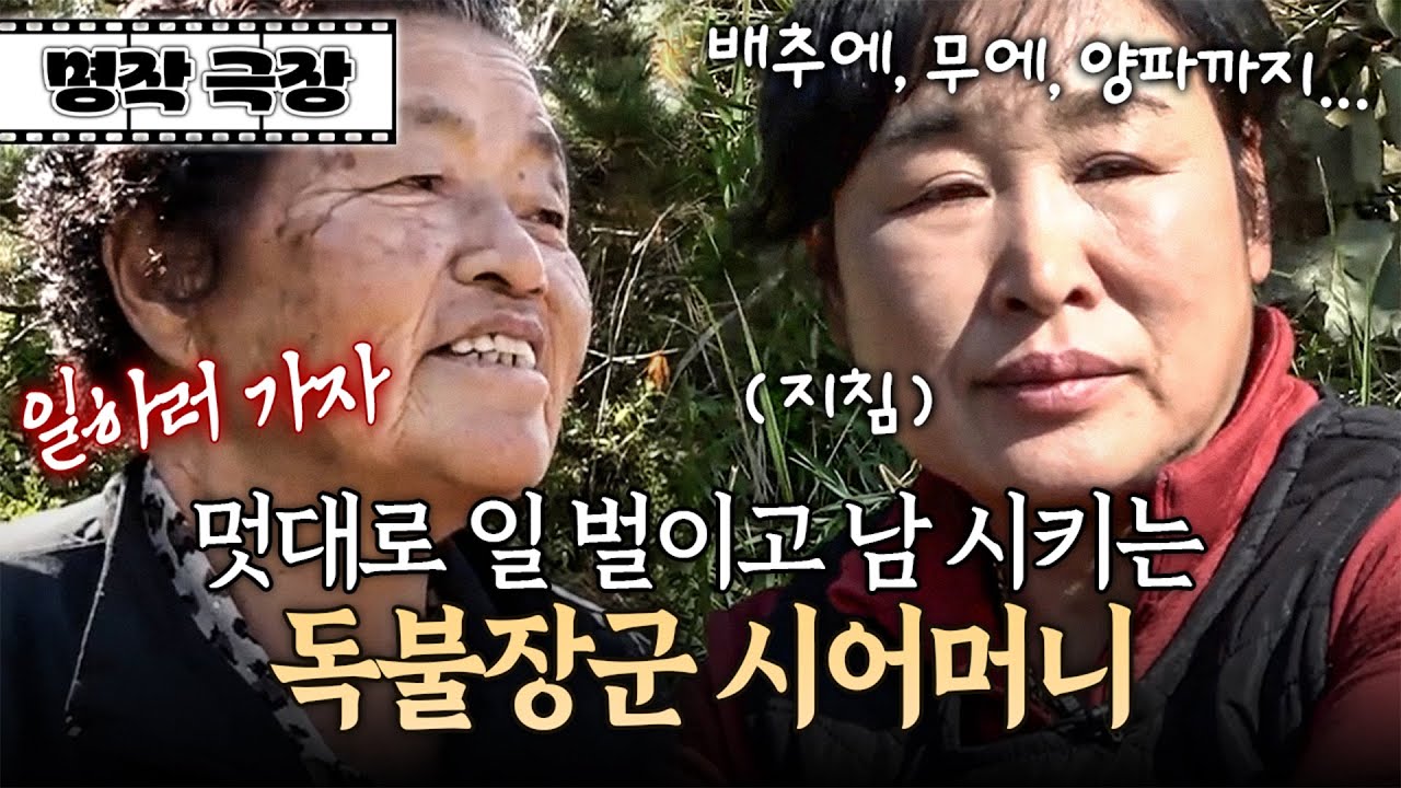 한시도 쉬지 않고 일 벌이는 시어머니 때문에 죽어나는 며느리와 아들😵 | 사노라면 명작극장 352-1