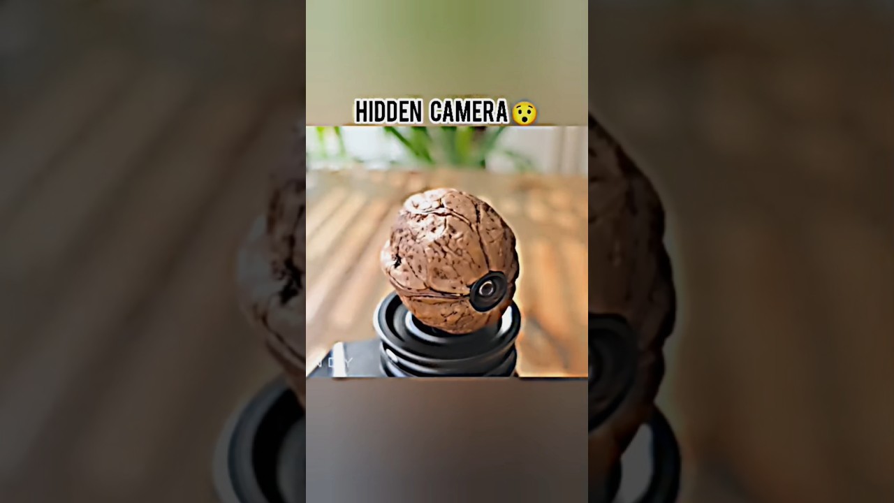 Not Just a Walnut - It's a Secret Camera I Created