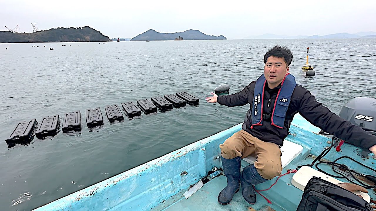 【育てば金持ち】牡蠣の試験養殖を始めてみました。