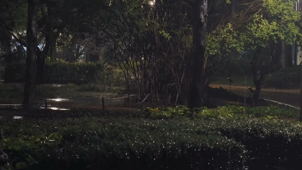 سورة النساء تلاوة تنبعث منه الاطمنان مع صوت مطر 🌧🎧 | القارئ الشيخ ماهر المعيقلي