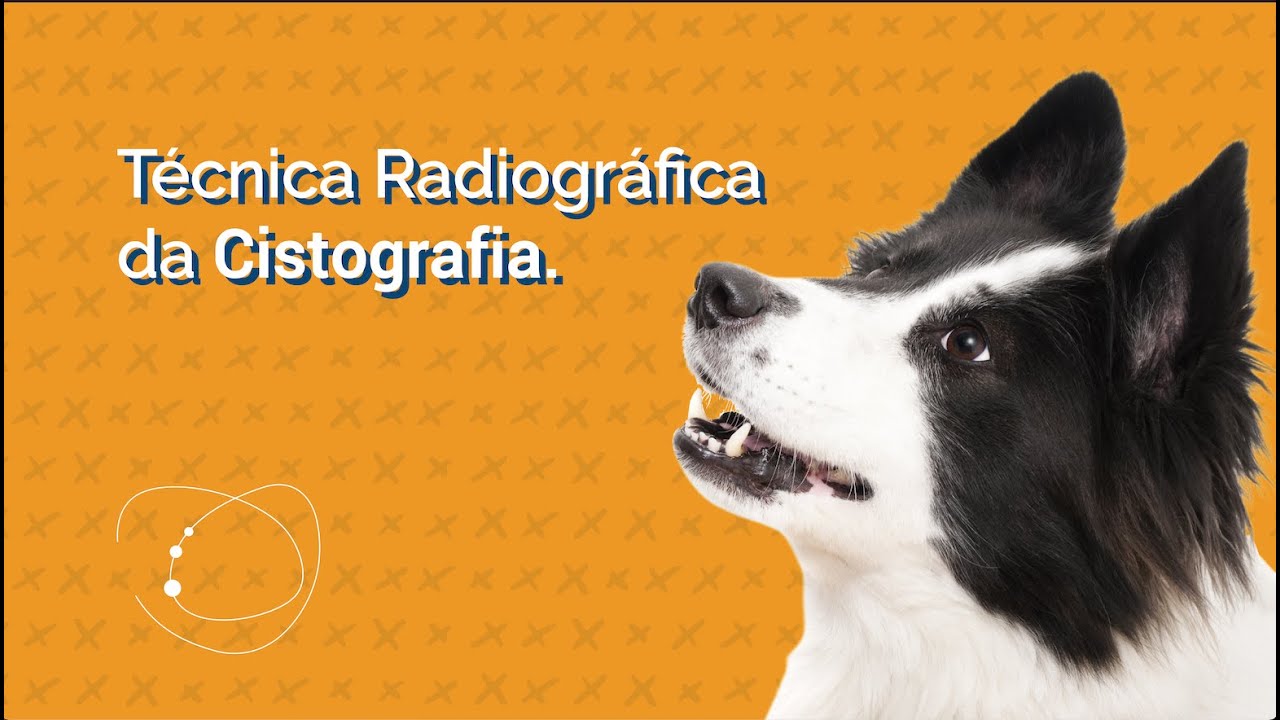 Cistografia - T&eacute;cnica radiogr&aacute;fica