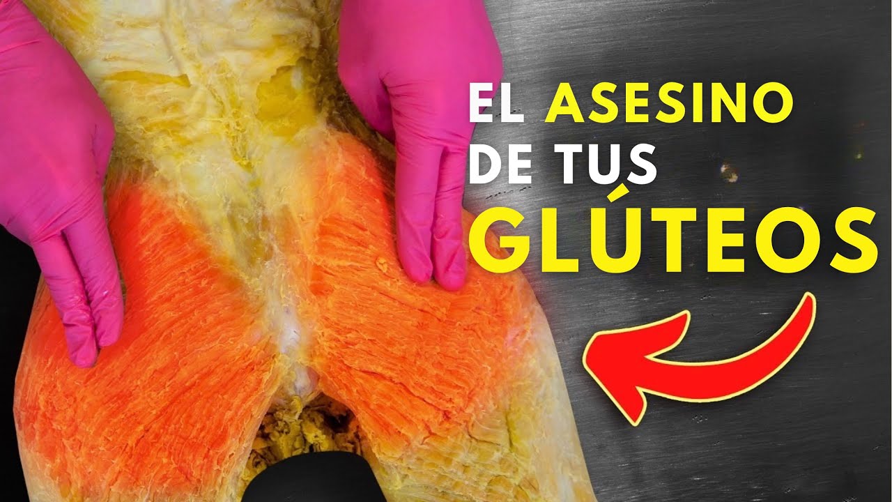 Por esto tienes grandes GLÚTEOS y así se entrenan