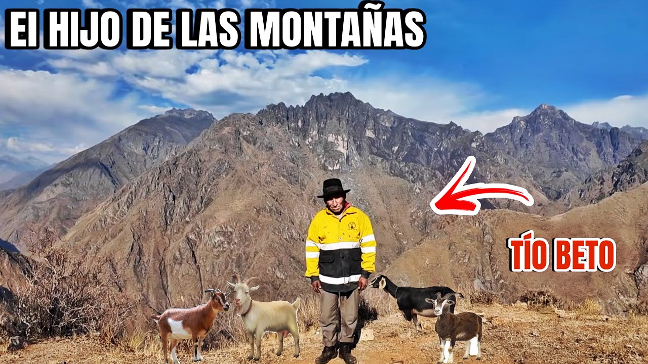 El Guerrero de la Montaña que sorprende con su Vida solitaria - Tío Beto 